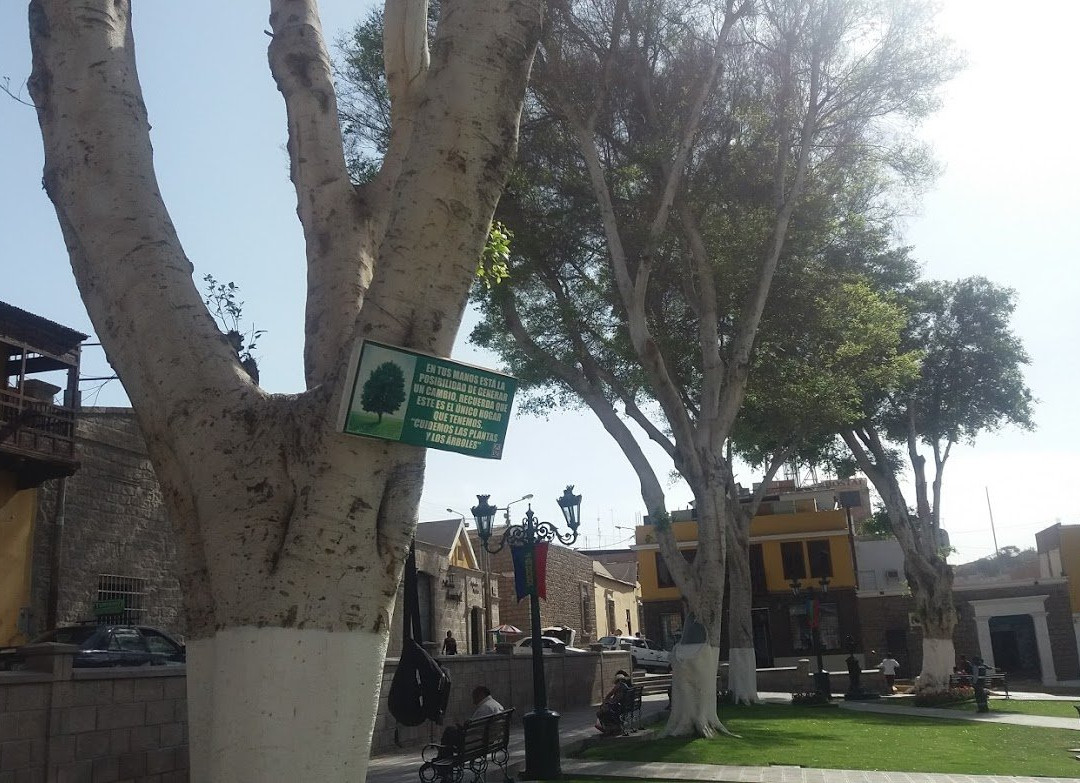 Plaza de Armas de Moquegua-Moquegua必去景点