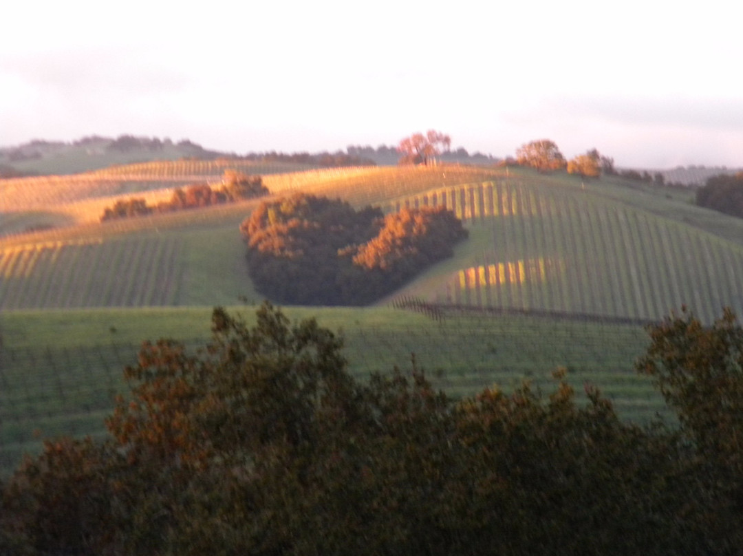PasoPort Winery景点图片