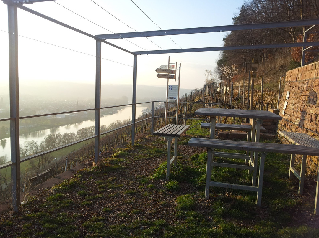 Picknickplattform mit Sonnenliegen im Weinberg-埃兰巴克必去景点