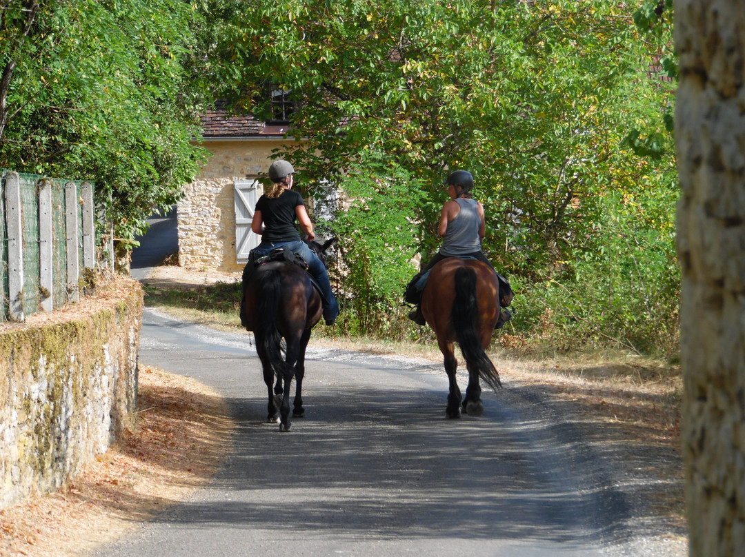 Les Terrasses de Gaumier主图