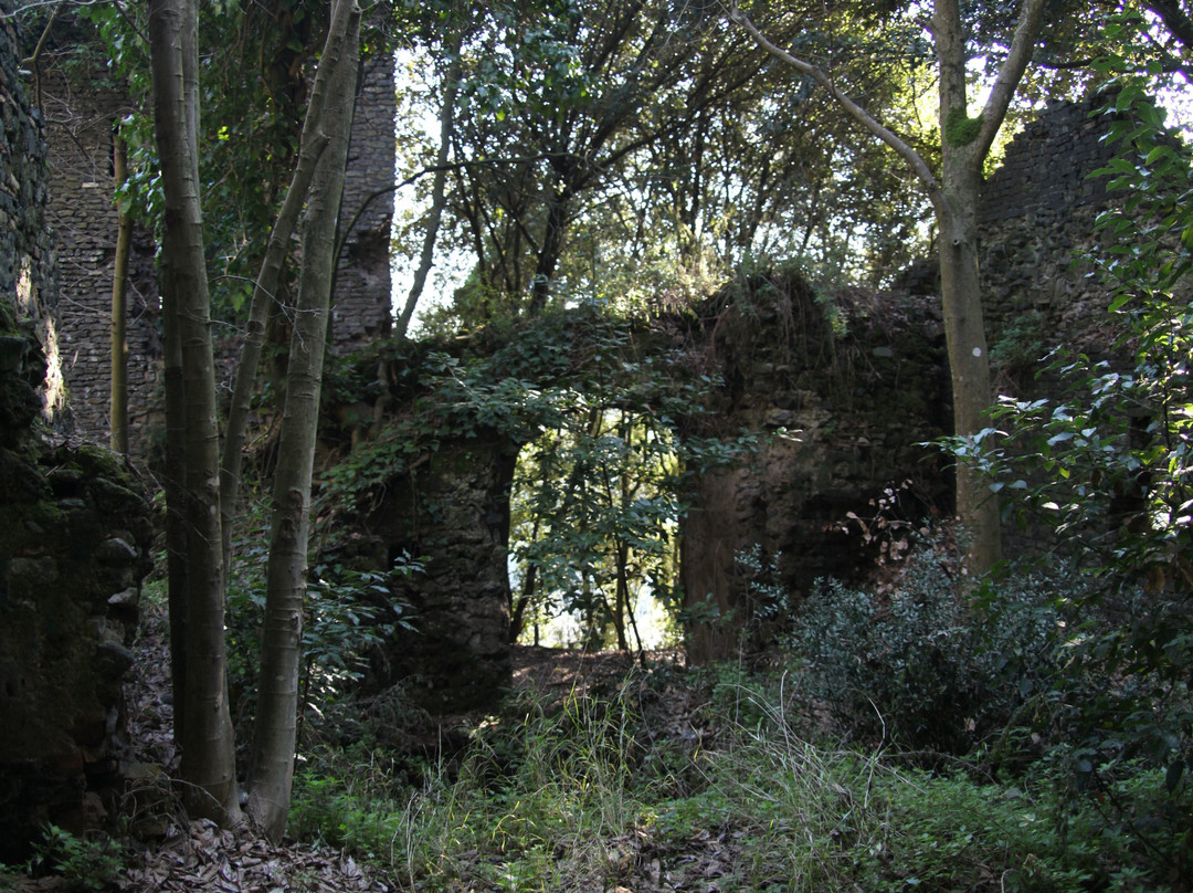 Galeria Antica景点图片