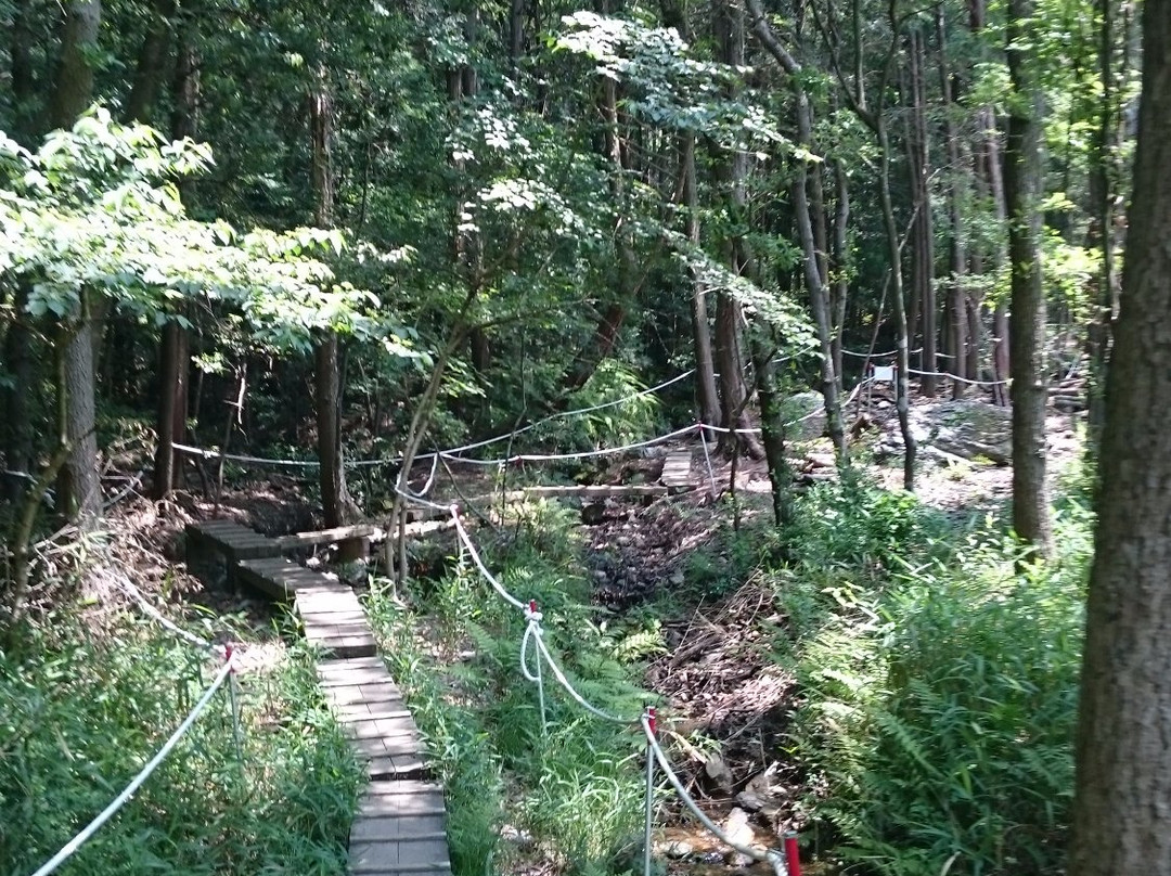 Imo Swamp-丰桥市必去景点