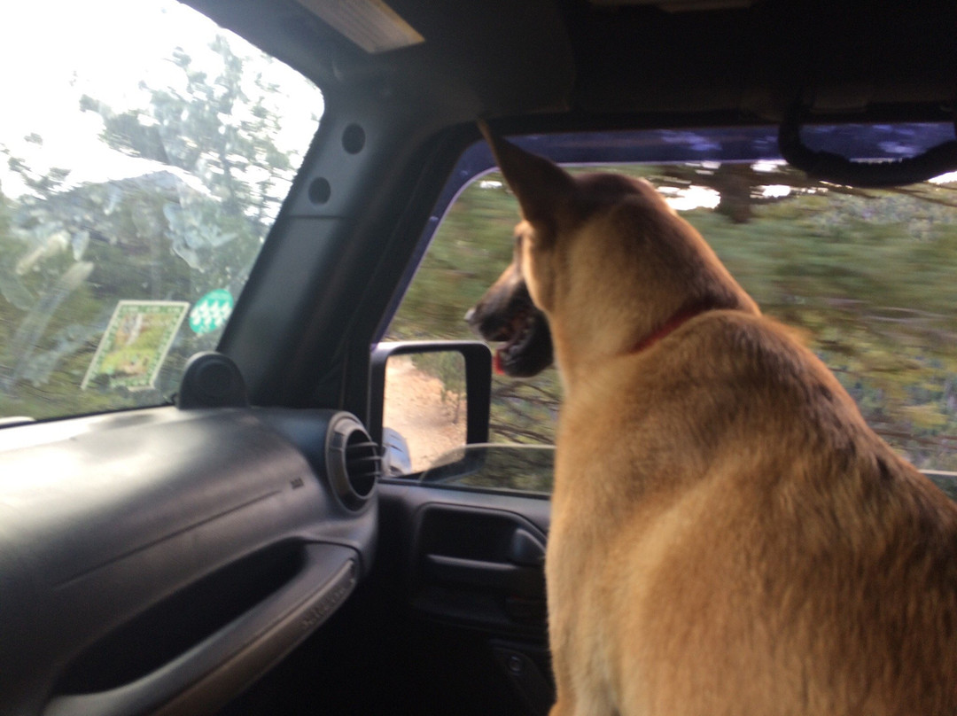 Switzerland Trail-博尔德必去景点