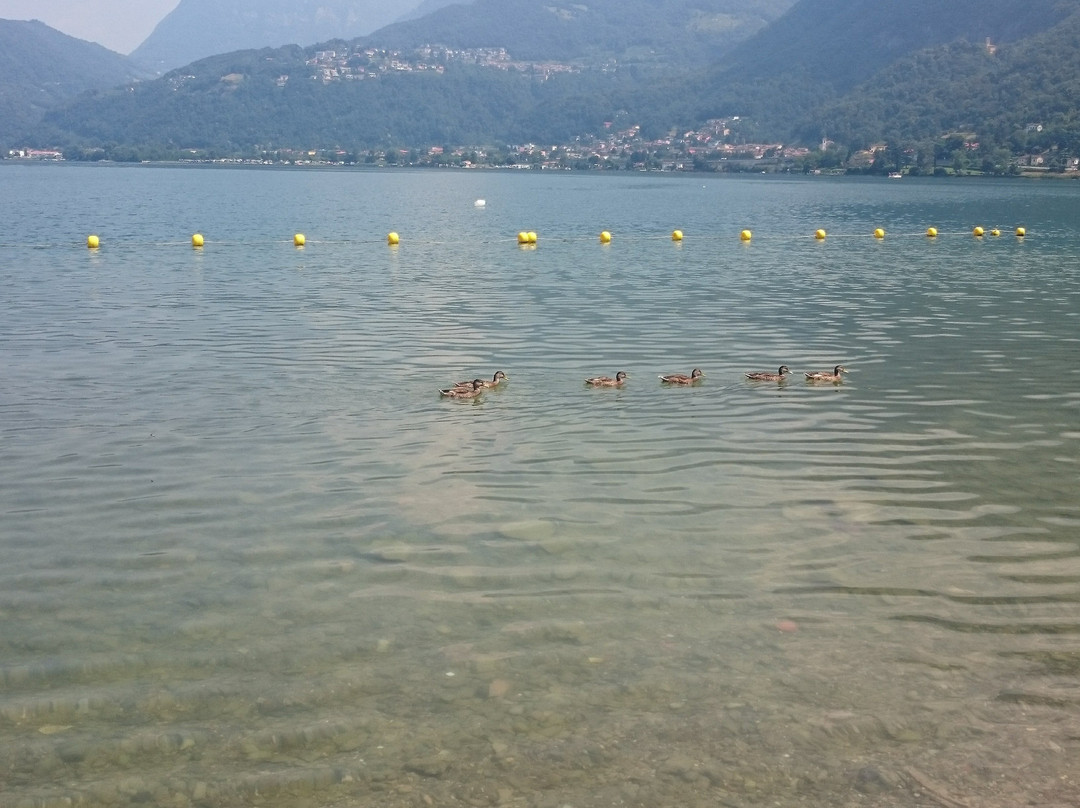 Lido Comunale Riva San Vitale-Riva San Vitale必去景点