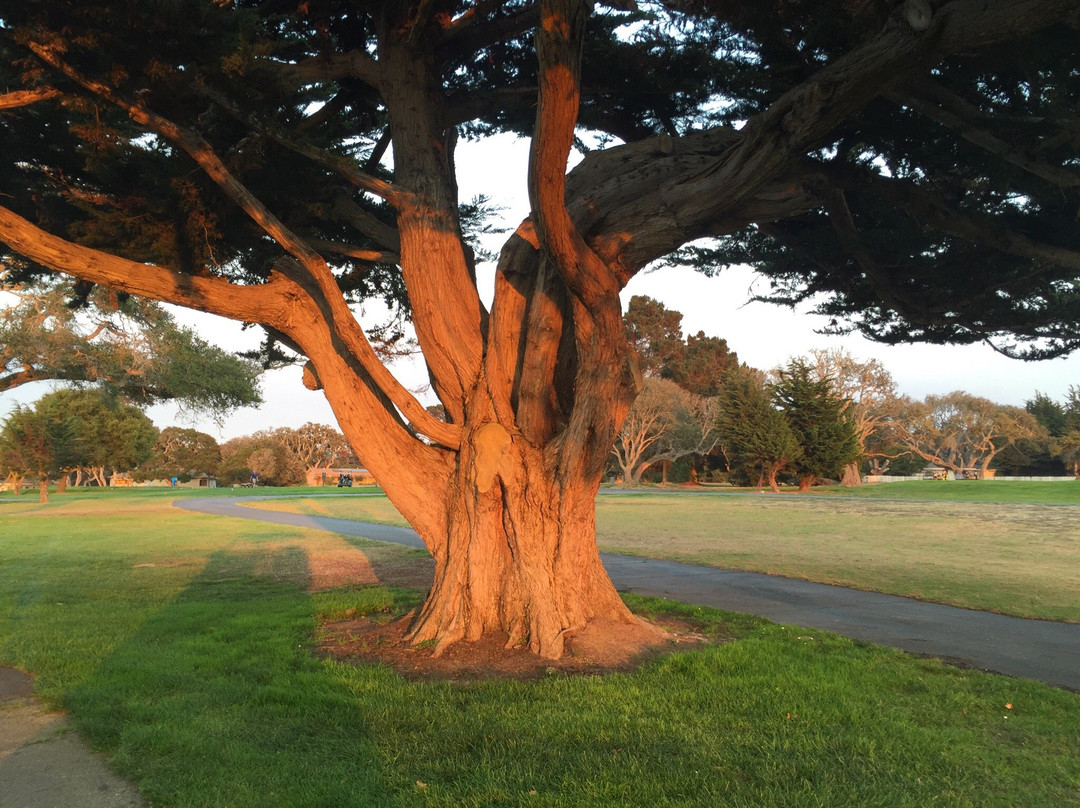 Del Monte Golf Course-蒙特雷必去景点