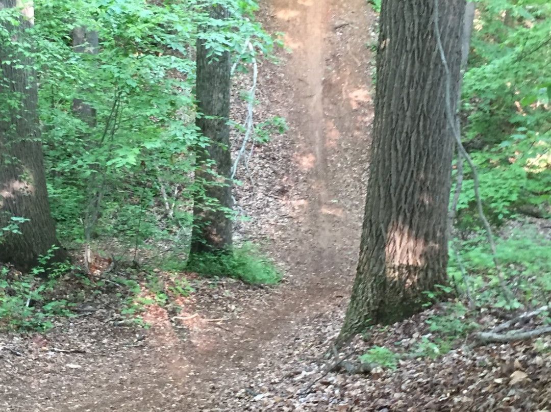 Iron Hill Park-纽瓦克必去景点