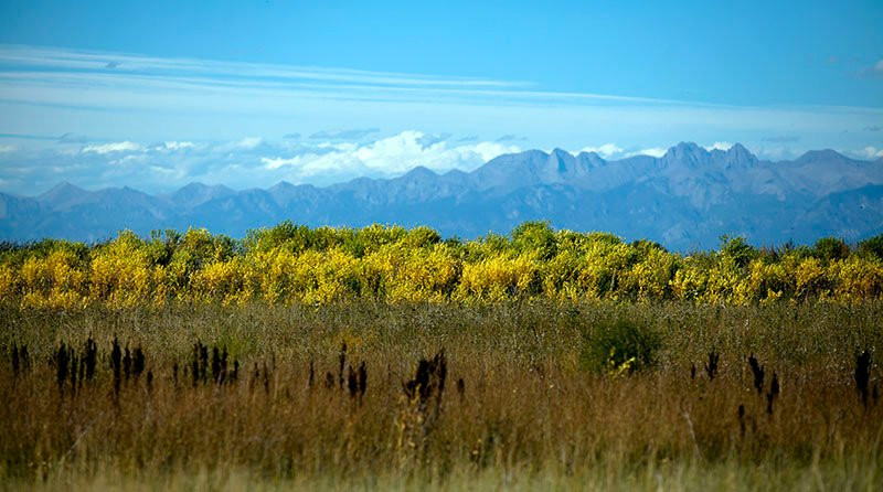 Alamosa National Wildlife Refuge-阿拉莫萨必去景点