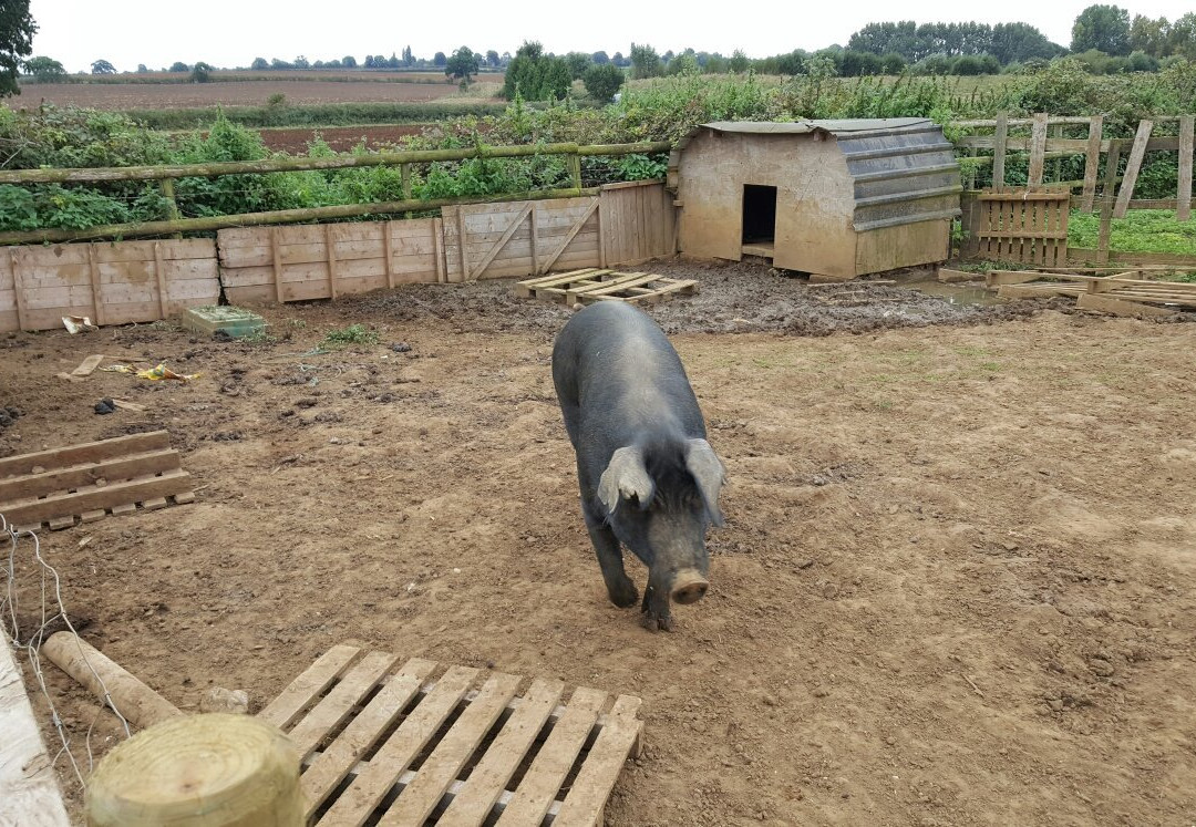 Woburn Farm-Millbrook必去景点
