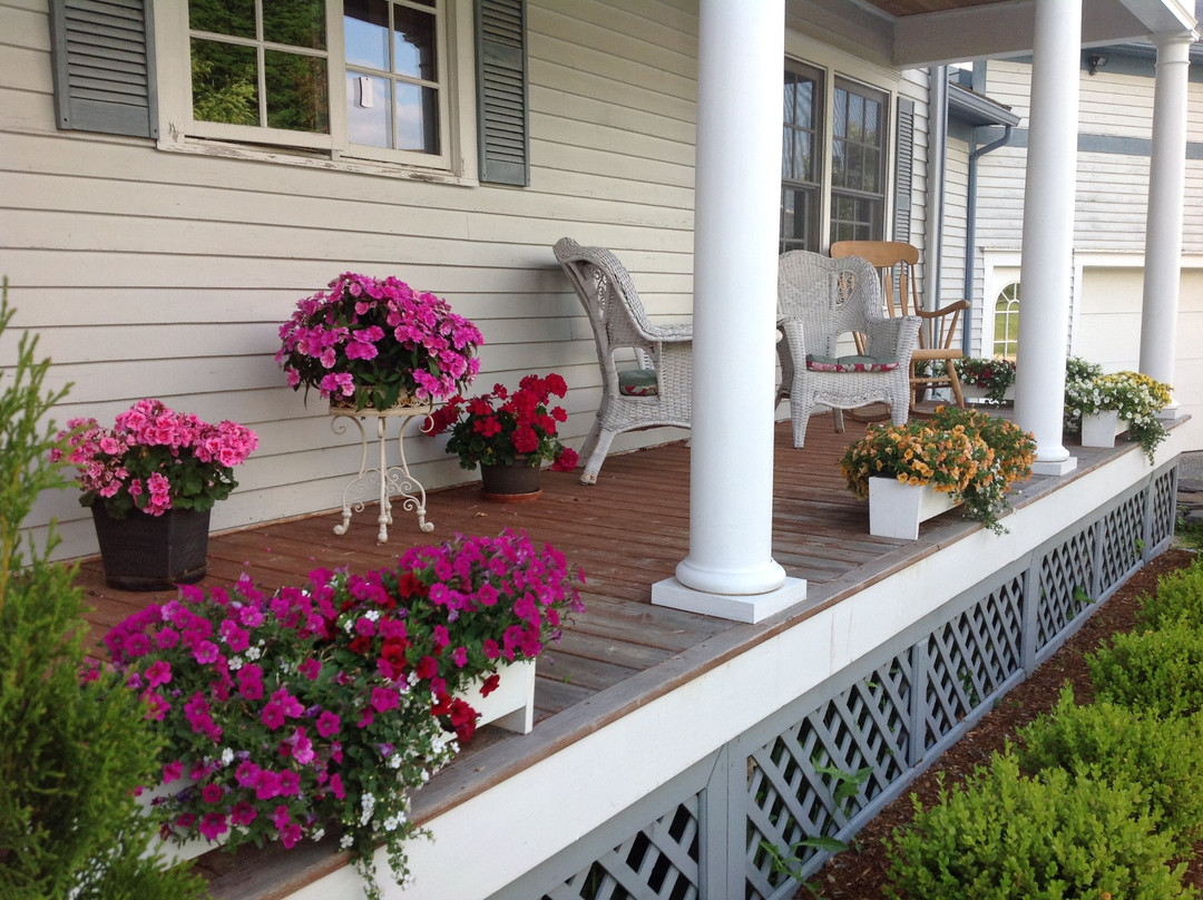 Williston Village Inn主图