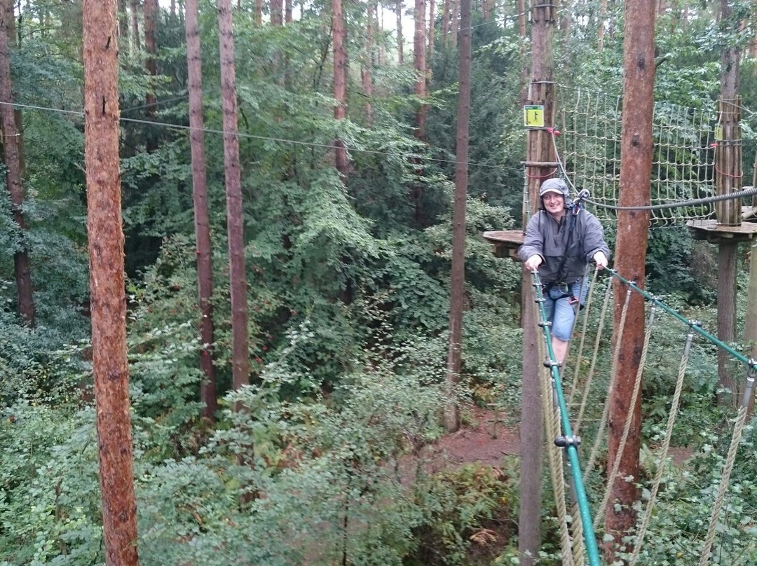 Go Ape Alice Holt景点图片