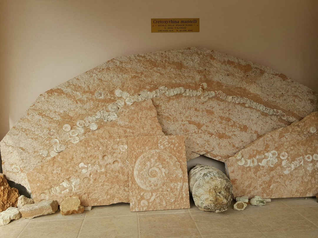 Museo Geopaleontologico di Camposilvano景点图片