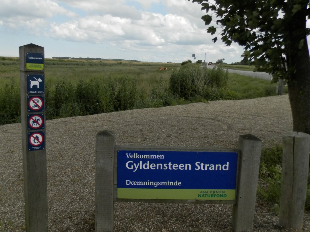 Gyldensteen