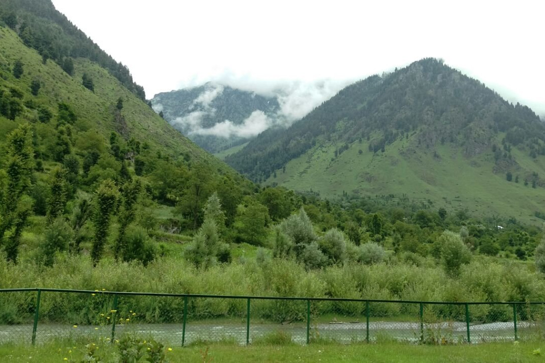 Digboi Lake-Digboi必去景点