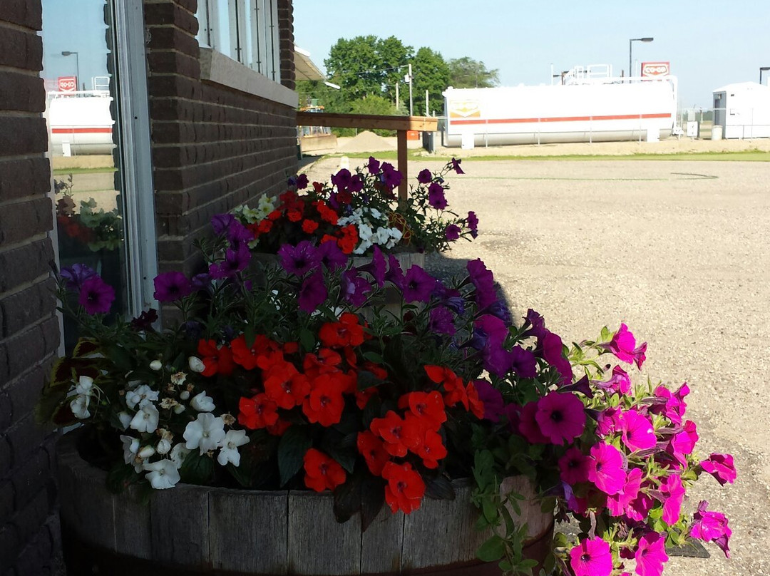 Spruce Woods Inn主图