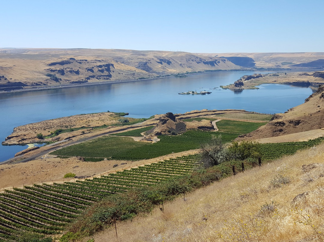 Goldendale旅游攻略图片