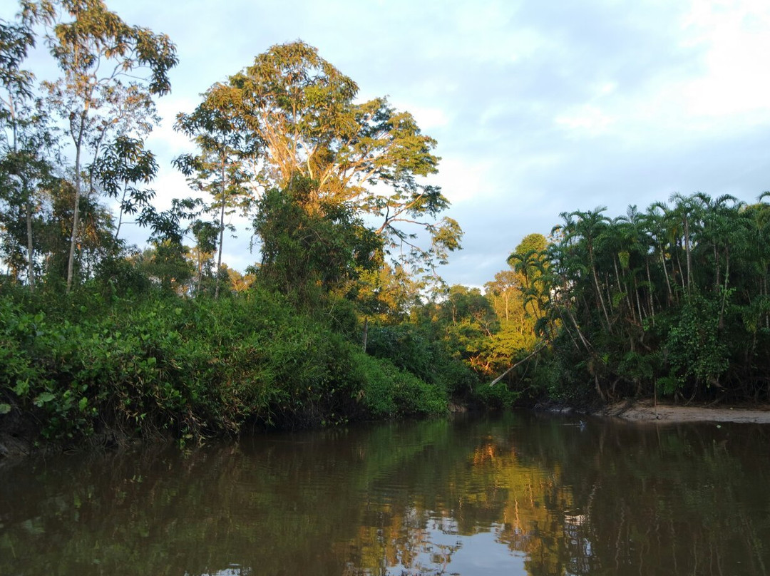 Jungle Amazone Adventure景点图片