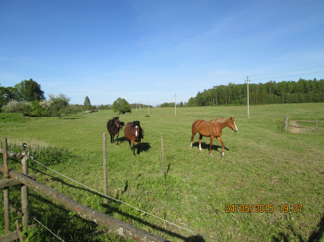 Minijos Zirgynas Ranch-Milasaiciai必去景点
