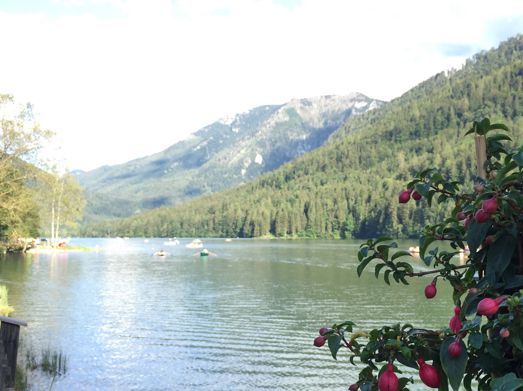 Seebad Lunz Am See-Lunz am See必去景点