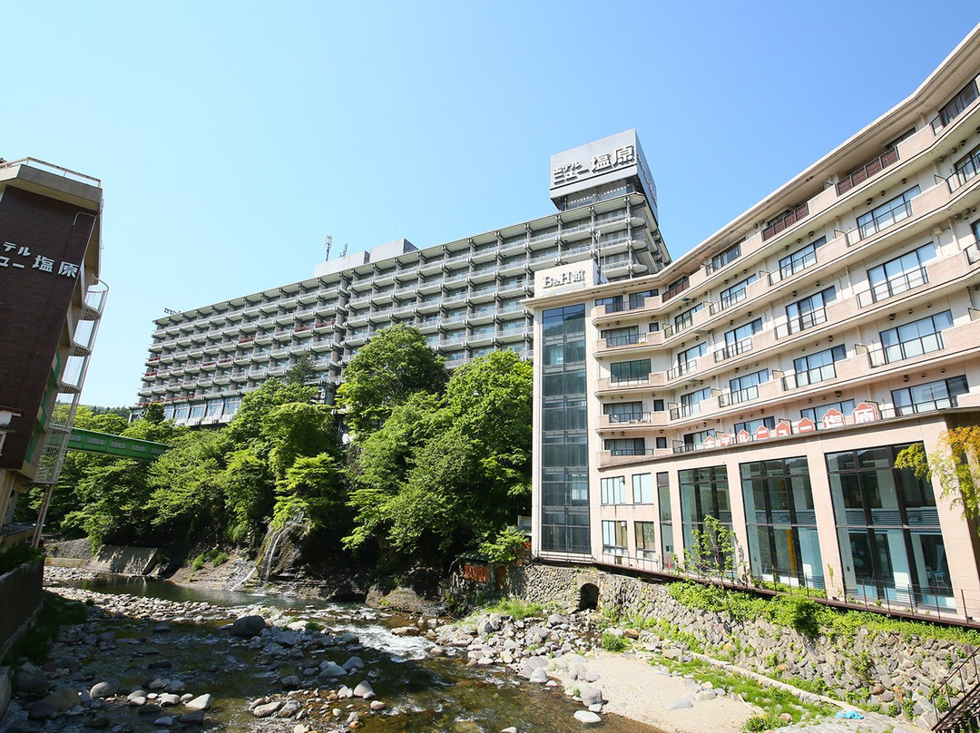 大江户温泉物语高级 新盐原酒店