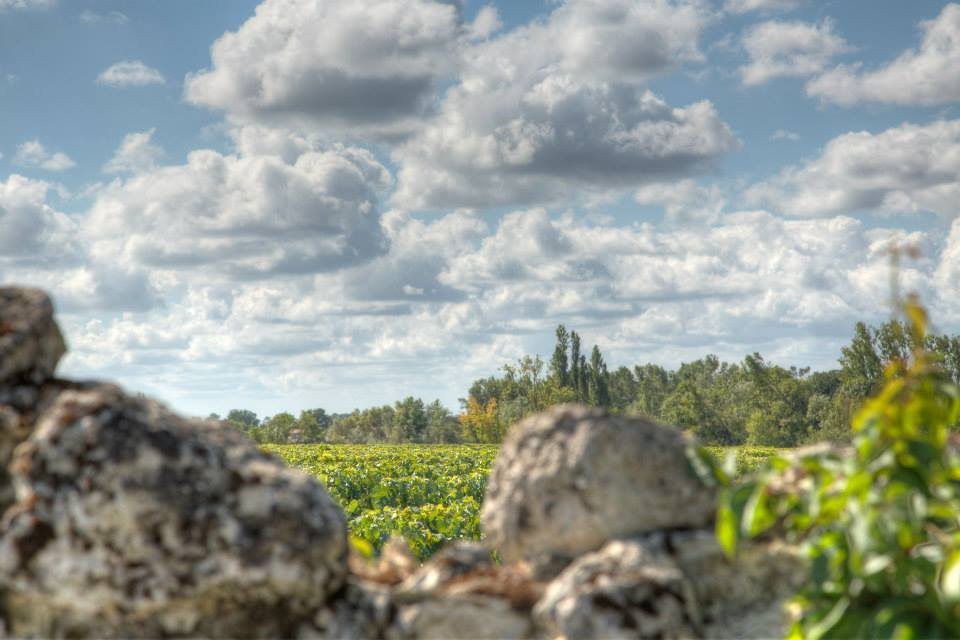 Château Haut Coteau景点图片