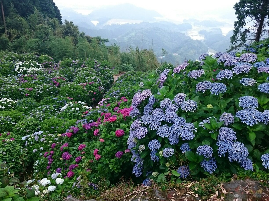 Mt. Sugitake Fudoson Daishoji Temple-武雄市必去景点