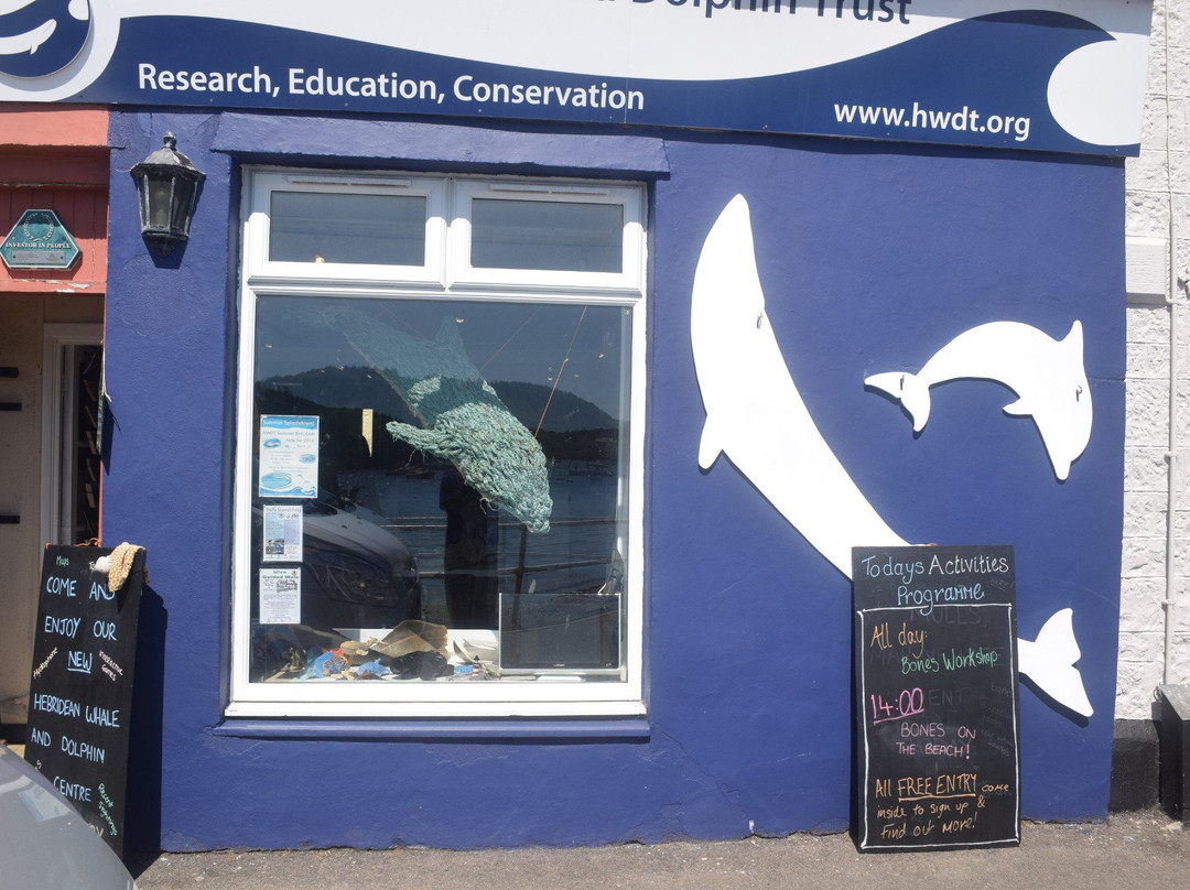 Hebridean Whale & Dolphin Trust-Tobermory必去景点