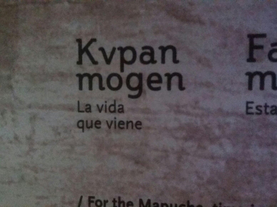 Museo Mapuche de Canete-Canete必去景点