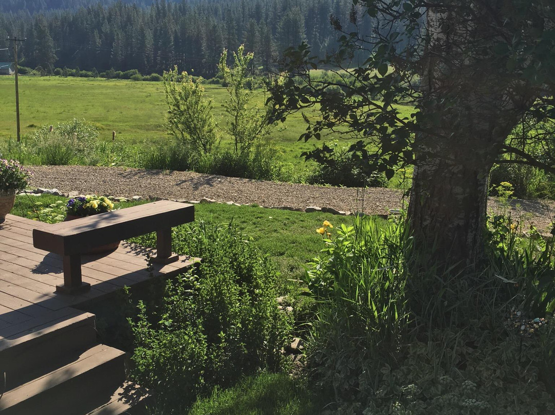 Walk on the Wild Side Bed and Breakfast主图