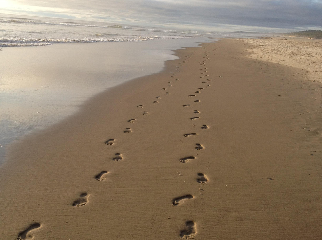 Beachside State Recreation Area-Waldport必去景点