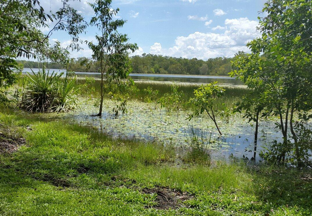 Manton Dam-达尔文市必去景点
