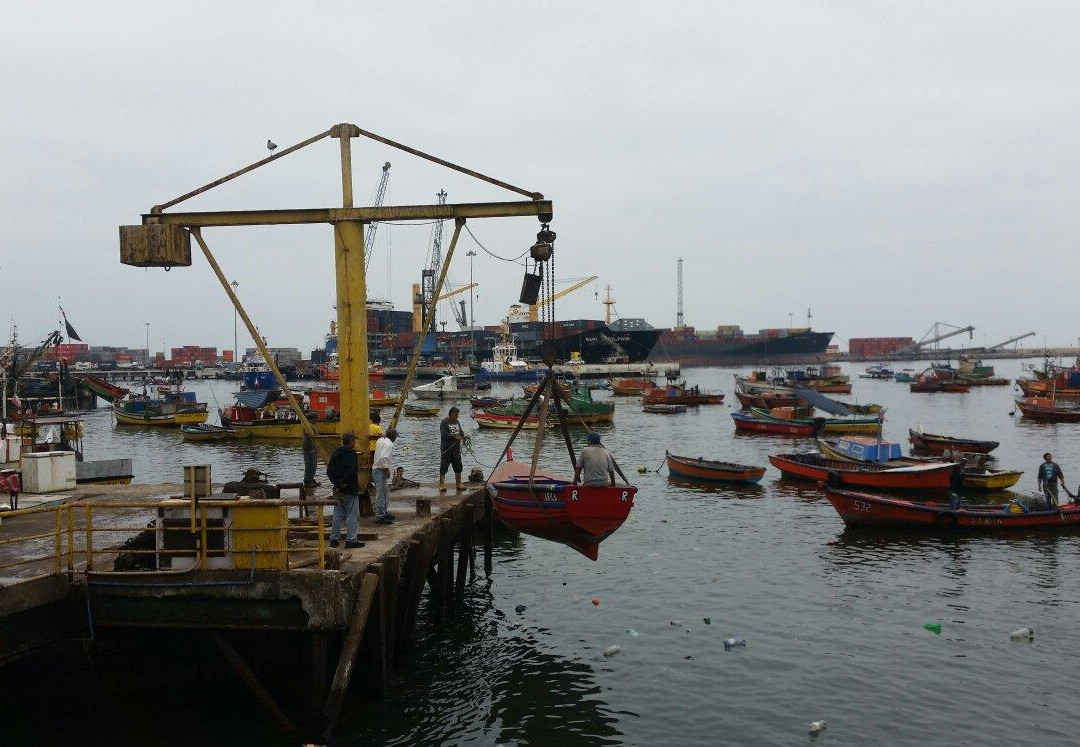 Arica Fish Market景点图片