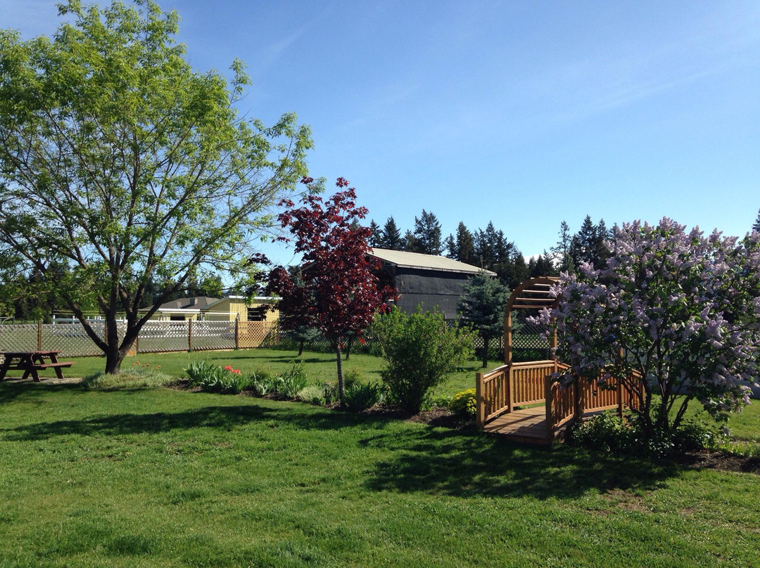 Schubert Estate Bed & Breakfast主图