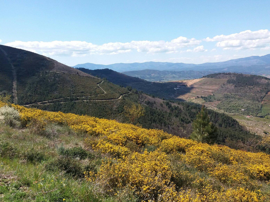 Serra da Gardunha景点图片