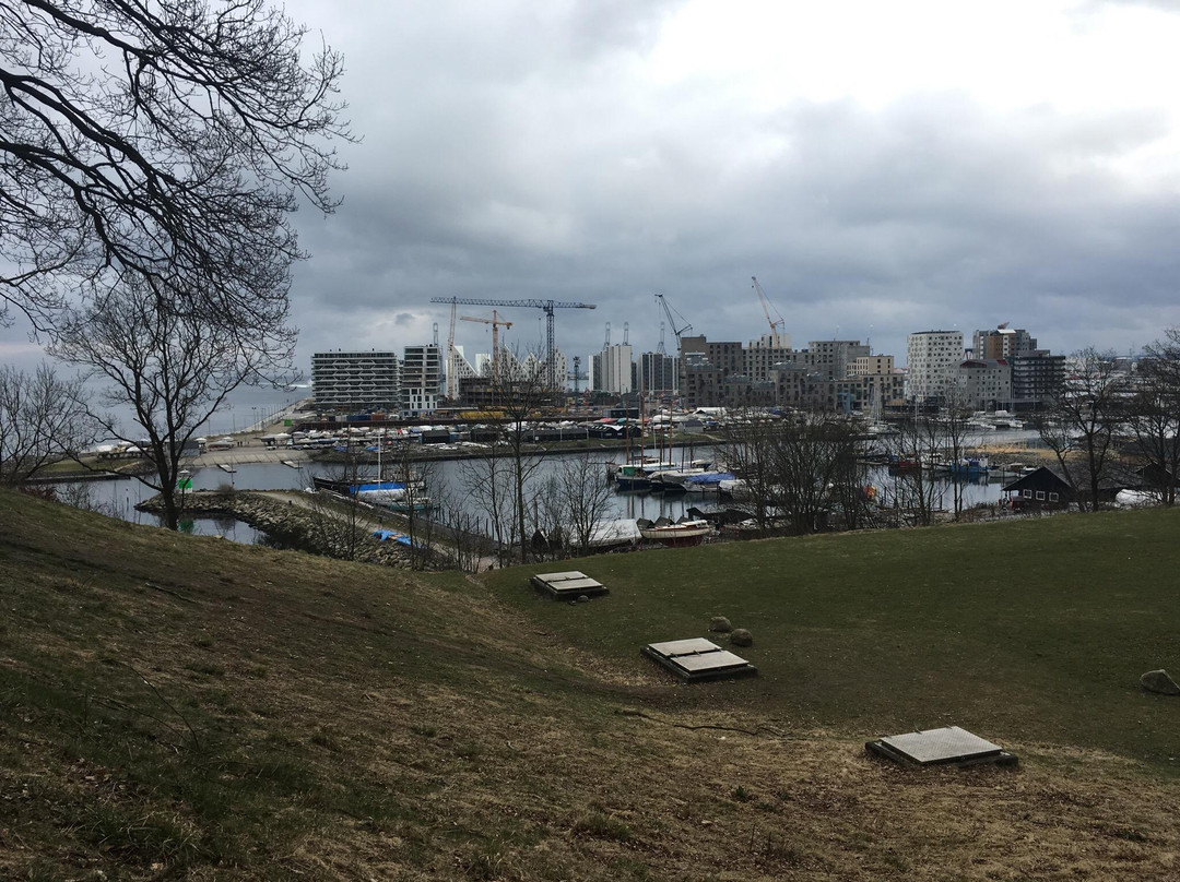 Udsigten i Riis Skov景点图片