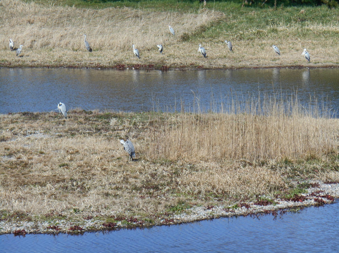 Kaio Bird Park景点图片