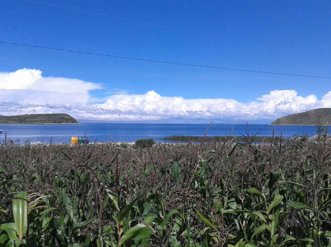 Stroll On Walking Tours-科帕卡巴纳必去景点