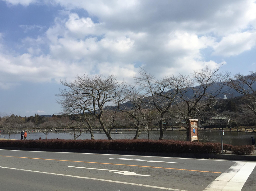 Lake Higashiyama Fishing Area景点图片