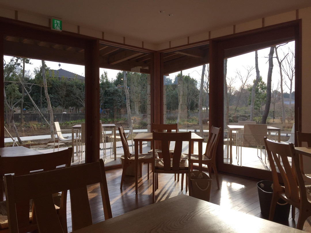 トラットリア・アグレステ