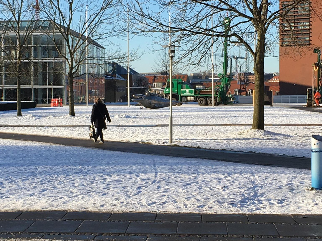 Hval-i-kopter-欧胡斯必去景点