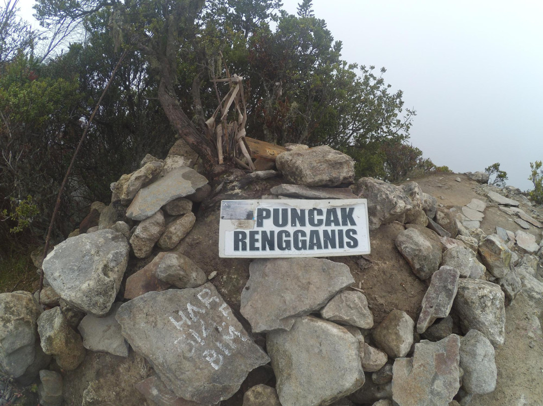 Mount Argopuro景点图片