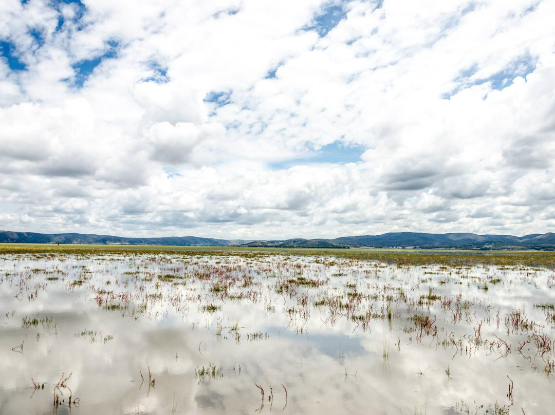 Lake George-Bungendore必去景点