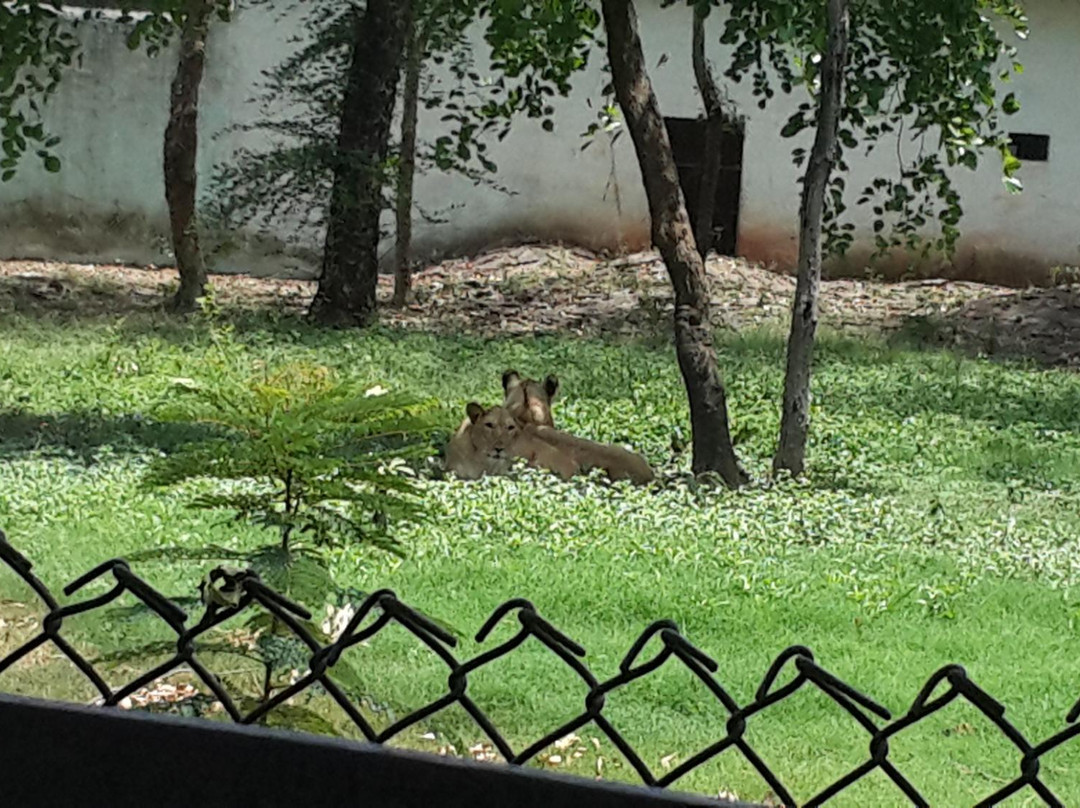 Nandan Van Nature Center景点图片