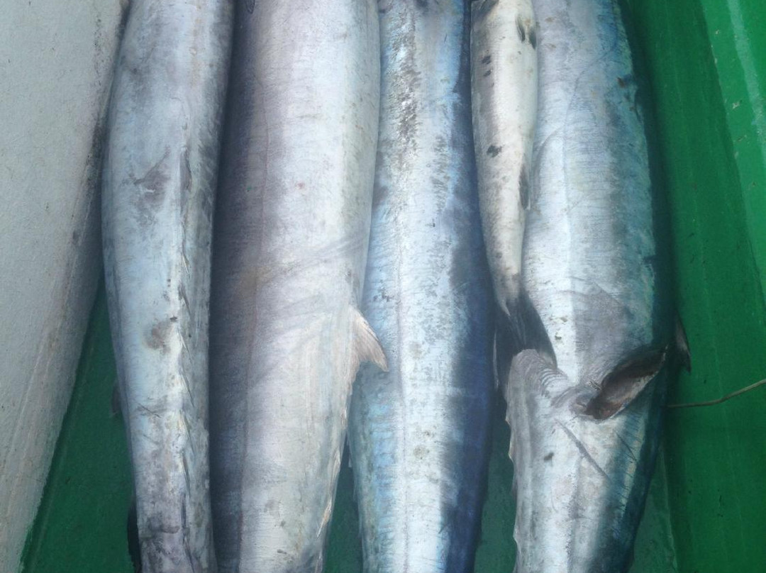 Bad Habbits Fishing Barbados-Hastings必去景点