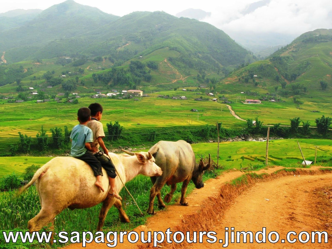 Sapa Tour景点图片