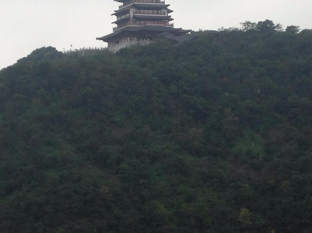 一鼎大酒店主图