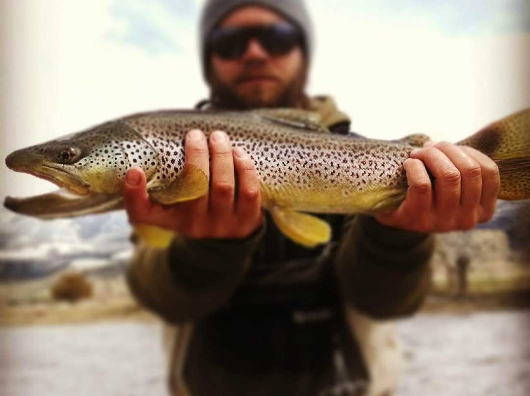 Montana Fly Fishing Guides - Day Tours景点图片