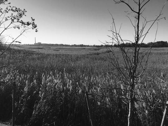 Freshkills Park-斯塔滕岛必去景点
