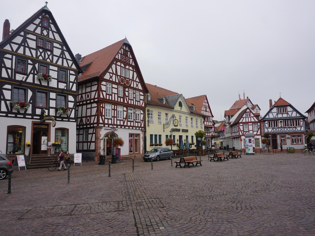 塞利根施塔特酒店住宿-Hotel Main Chateau