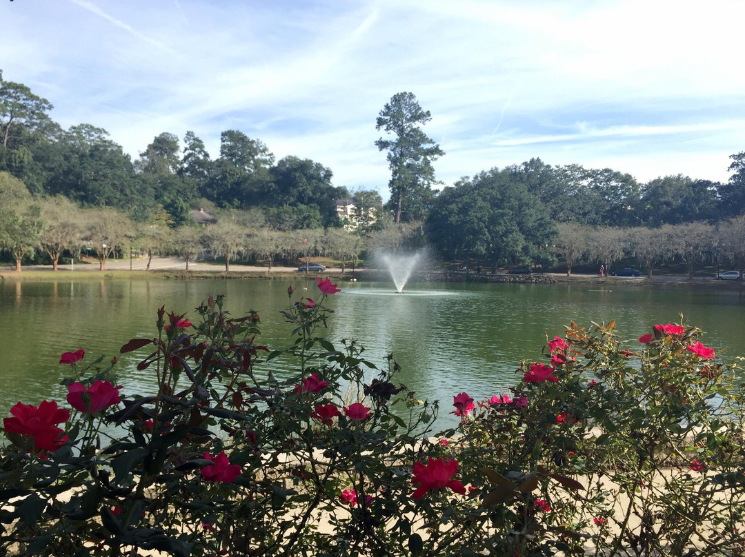 Lake Ella & Fred Drake Park-塔拉哈西必去景点