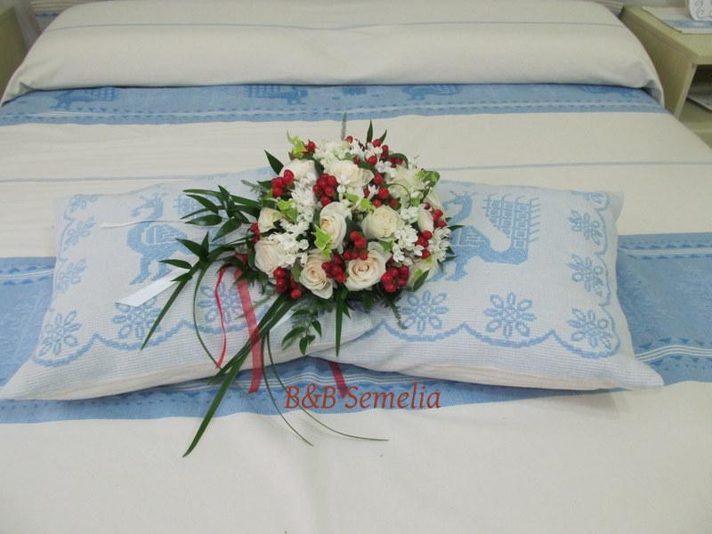 B&B Semelia主图